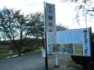 姉川の戦い